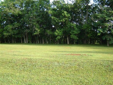 0 River Bend Rd unit RTC1339906, Shelbyville, TN 37160 - photo 5