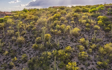 DJI_0637-2