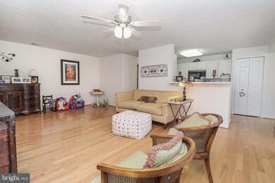 8005 Township Dr unit F, Owings Mills, MD 21117 - photo 7