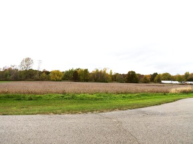 825 O E Bieri Industrial Dr, Lowell, MI 49331 - photo 2