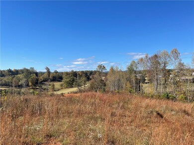 361 Springbrook Rd, Walhalla, SC 29691 - photo 5