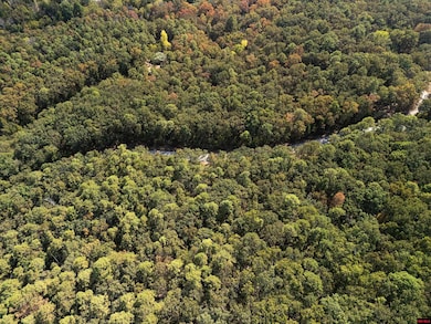 001-01299-000 Dwelle Rd, Norfork, AR 72658 - photo 3