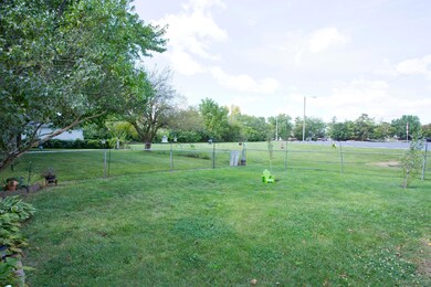 539OldTreeP(6)