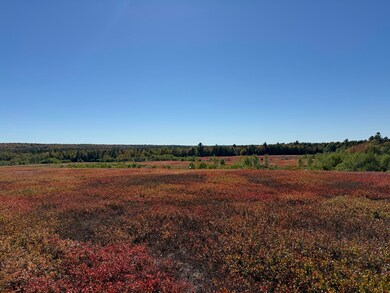MAP19LOT28 Leach Rd, Penobscot, ME 04476 - photo 6