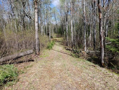 End of Sanctuary Rd, Tomahawk, WI 54487 - photo 7