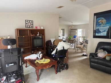 17164 SW 128th Place, Archer, FL 32618 - photo 4