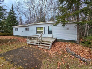 9970 N Graves Rd, Manistique, MI 49854 - photo 3