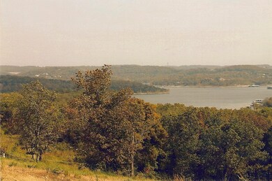 Lot Blue View Ln, Ruth B Rural Township, MO 65686 - photo 6