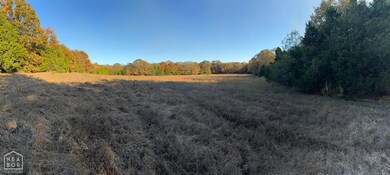 599 Arkansas 58, Cave City, AR 72521 - photo 4