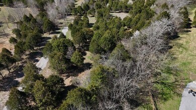 406A Harsh Ln, Castalian Springs, TN 37031 - photo 4