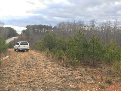 The ideal home site is located where these pine trees are and there is another nice home site sitting further back off the main road, in the woods.