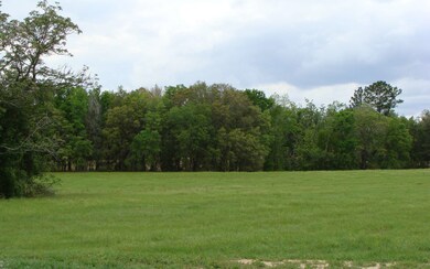 0 Mandiba Dr unit 104979, Lake City, FL 32024 - photo 3