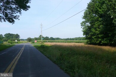 28896 Sanderstown Rd, Trappe, MD 21673 - photo 7