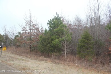 78 Bennett Cir, Byhalia, MS 38611 - photo 7