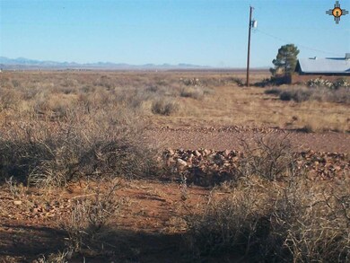 x Iron Wood Rd SE, Deming, NM 88030 - photo 3