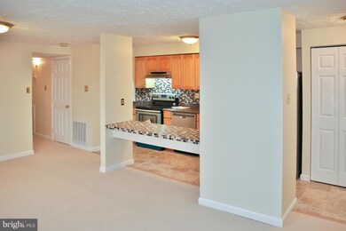 19613 Gunners Branch Rd, Germantown, MD 20876 - photo 7