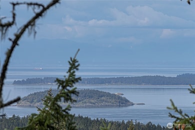 0 Cady Mountain Rd unit NWM2359002, San Juan Island, WA 98250 - photo 7