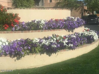 Scottsdale Marquessa unit 104, Scottsdale, AZ 85251 - photo 3