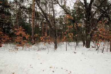 IMG_8990