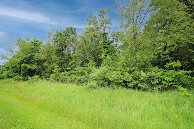 Land-9811