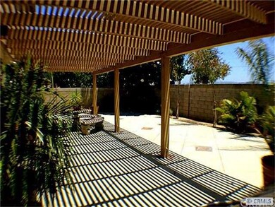 Back Patio
