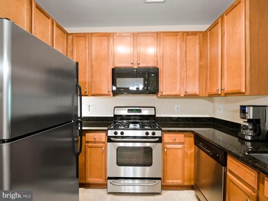 1505 N Point Dr unit 303, Reston, VA 20194 - photo 4