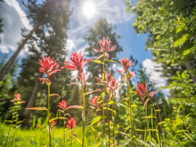Lot 19 Towering Pines, Big Sky, MT 59716 - photo 3