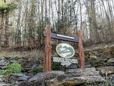 Lot 105 Bear River Lodge Trail, Marshall, NC 28753 - photo 4