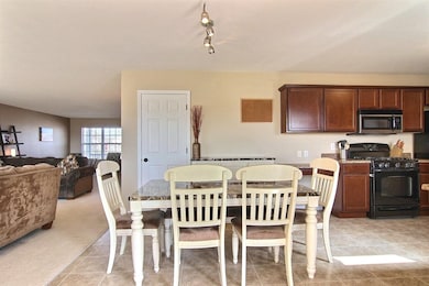 10233 Flagstaff St, Cedar Lake, IN 46303 - photo 5