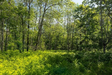 00 V/L Comstock Ave unit Par B, Bitely, MI 49309 - photo 7