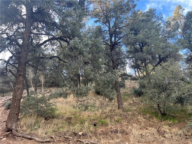 The 5 contiguous lots are uphill from the street.