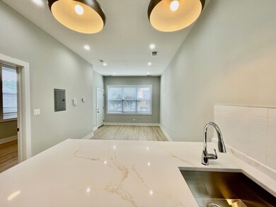 2238 W 24th St unit 2F, Chicago, IL 60608 - photo 7