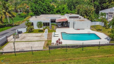 Backyard Aerial View I