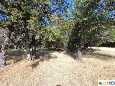 5249 Comanche Dr, Temple, TX 76502 - photo 5