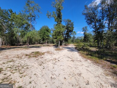 22 Meadowlark Ln, Twin City, GA 30471 - photo 2