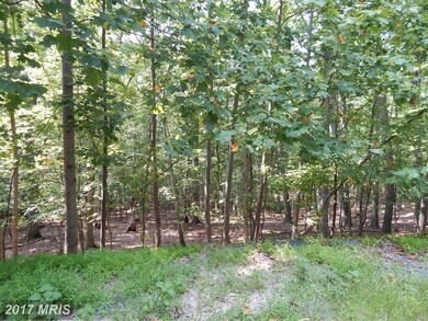 LOT 44 Boiling Springs, Gerrardstown, WV 25420 - photo 2