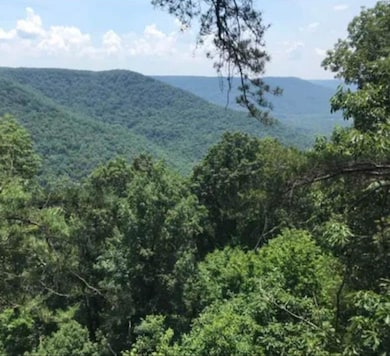 Lot 41 Wohalie Ln, South Pittsburg, TN 37380 - photo 2