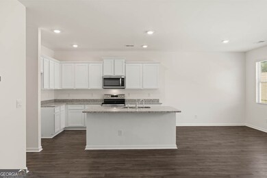 225 Lauritsen Way, Newnan, GA 30265 - photo 4