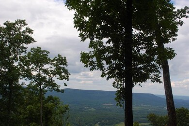 DSC_1376 (1024x685)