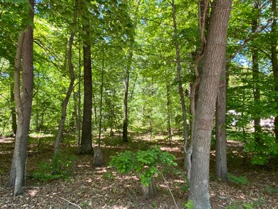 IMG-0953
