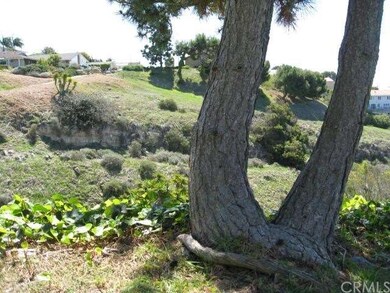 A view from the back yard