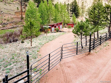 16320 Cochise Trail, Pine, CO 80470 - photo 4