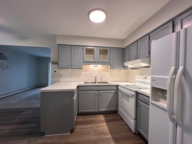 4525 Elm Ave unit 2B, Brookfield, IL 60513 - photo 7