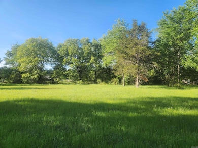 Tract 7 & 8 Castleberry Ln, Lamar, AR 72846 - photo 2