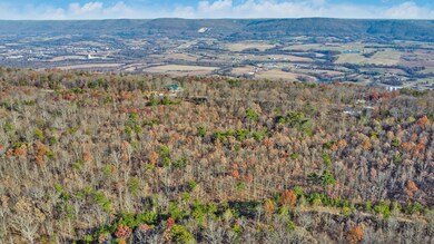 0 Maple Dr unit 20251539, Pikeville, TN 37367 - photo 5