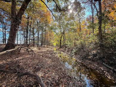 0 County Road 105, Hickory Ridge, AR 72347 - photo 3