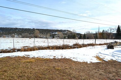 215 1/2 NE 4th St, Cedaredge, CO 81413 - photo 2