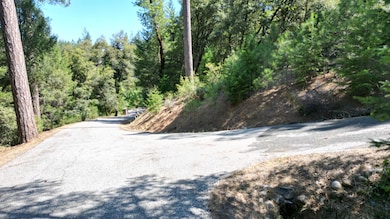 12226 Pine Cone Cir, Grass Valley, CA 95945 - photo 6