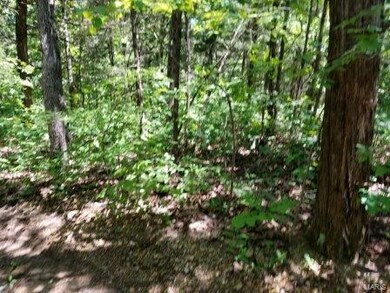 10 Watts Acres Rd, Robertsville, MO 63072 - photo 7