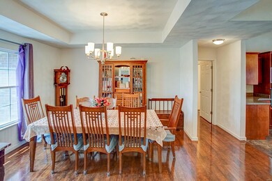 917 Bay Pointe Dr, Freeburg, IL 62243 - photo 6